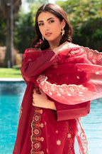 Ruby 3PC styled look detail - Alif Clothings Pakistani suit