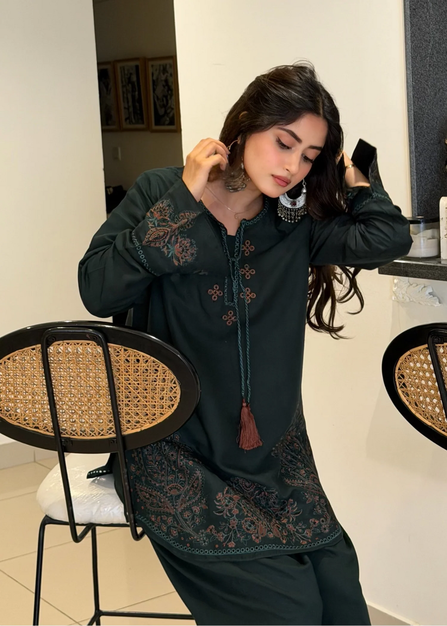 Zaroon 2PC styled look - Alif Clothings Pakistani suit