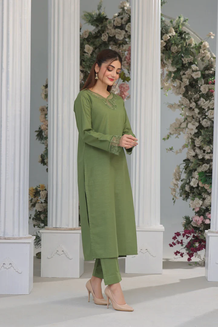 Kareena 2PC - close-up embroidery detail - Pakistani Women's Suit | Alif Clothings